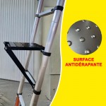 Plateforme multifonction pour échelle télescopique et escabeau télescopique
